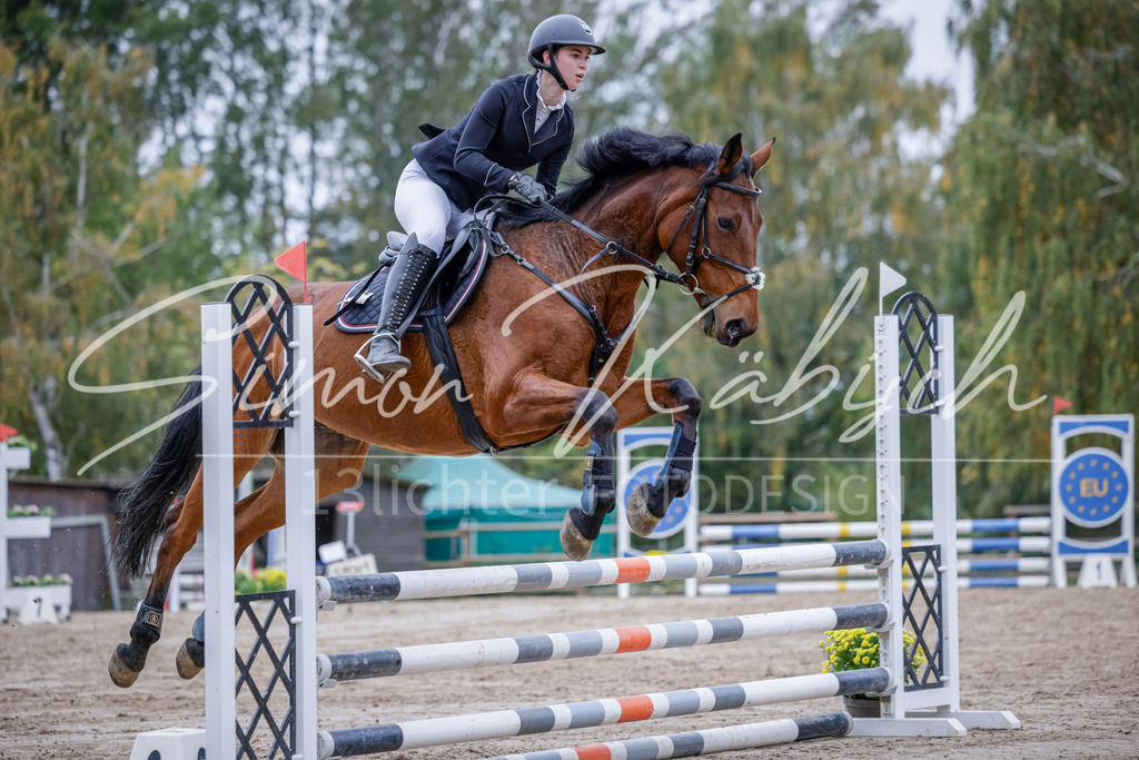 20251012-_3LI3469 | Tierfotografie Pferde, Hunde, Katzen, Haustiere.
Turnierfotografie Reitturniere, Reiten, Springreiten, Dressur in Hanau, dem Main-Kinzig-Kreis und dem Rhein-Main- Gebiet um Frankfurt