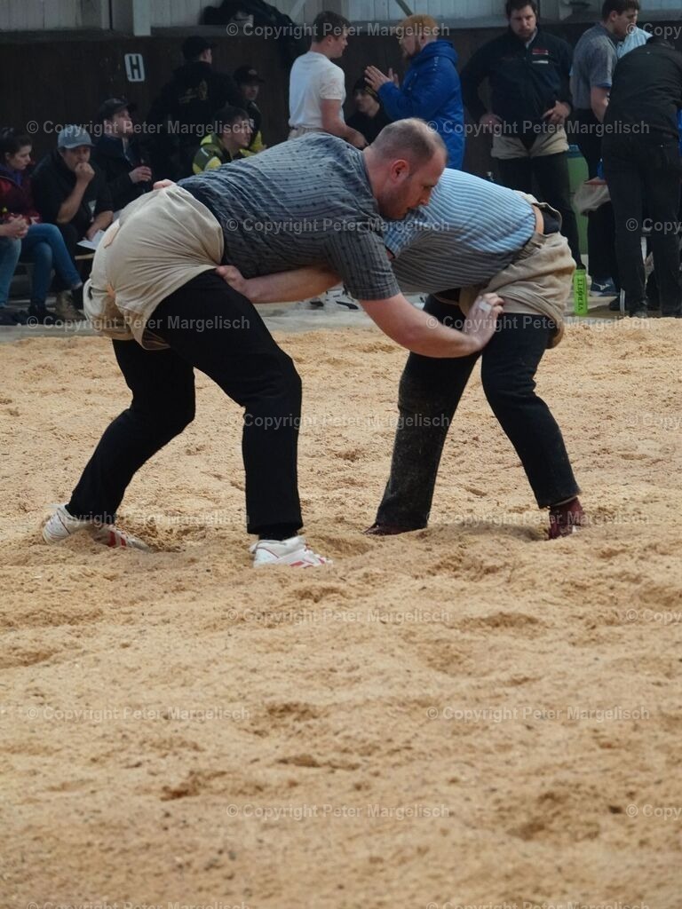 k-DSC06093 | Schwingen - Realisiert mit Pictrs.com