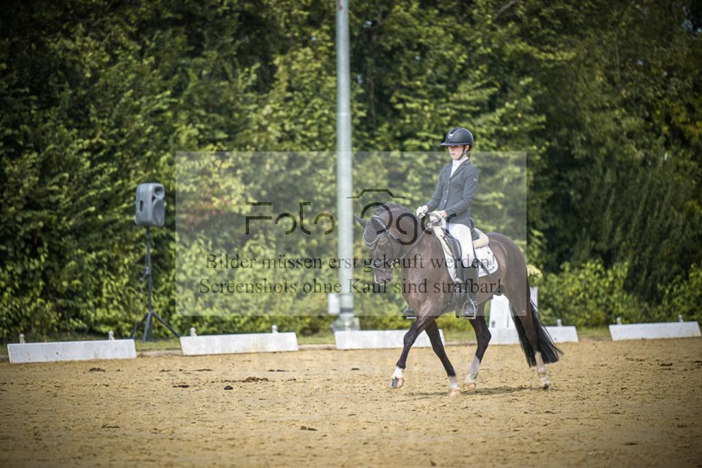 DOS_3783 | Entdecke hochwertige Reitturnierfotos von Foto Oger. Professionell, emotional und authentisch – jetzt Lieblingsmomente im Shop bestellen.Deutschlandweite Turnierfotografie. - Realisiert mit Pictrs.com