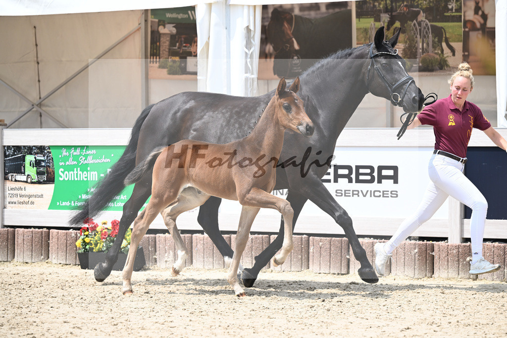 Vitalos x Lord Leopold_SF_Strohmeier_12250893 | hf-fotografie - Realizzato con Pictrs.com