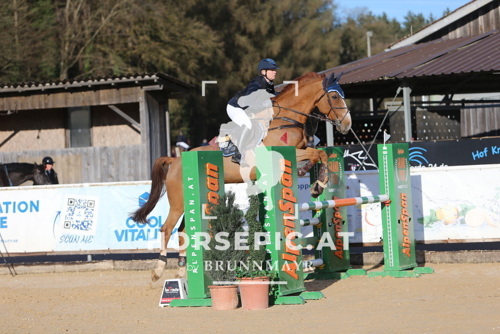 DL2Q3378 | Willkommen bei Brunnmayr - Design & Fotografie – Ihrem Spezialisten für Reitturniere und Pferdeveranstaltungen in Oberösterreich, Salzburg und Bayern! Seit über 17 Jahren sind wir leidenschaftlich dabei.