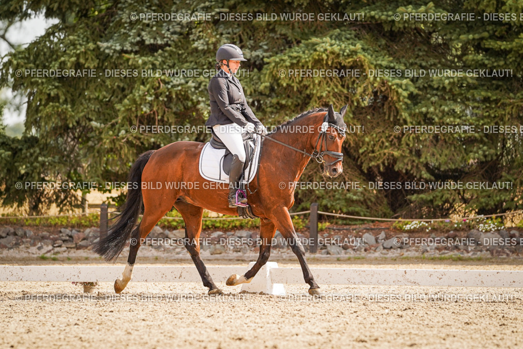 DSC01427 | Pferdegrafie