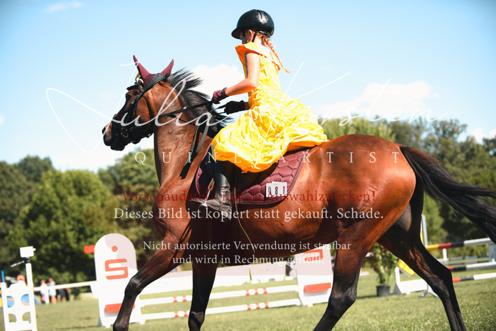 DSC_7518 | Pferde- und Turnierfotografie in Westsachsen. Pferdeportraits, Auftragszeichnungen und intuitive Kunst.