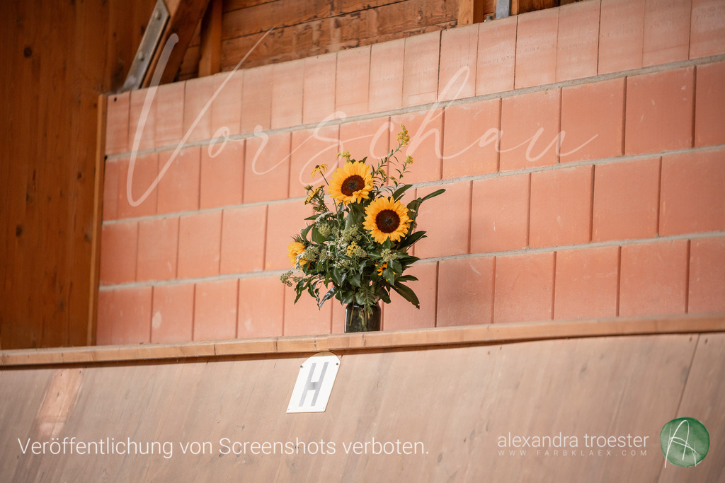 250913_Barop_28_213 | farbklaex.com