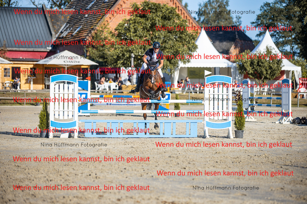 BK1A6182 | Turnierbilder Turnierfotos Nina Hüffmann Turnierfotografie Pferdefotografie Tierzeichnung Haustierzeichnung Pferdezeichnung Hundezeichnung Videograf  - Realisiert mit Pictrs.com