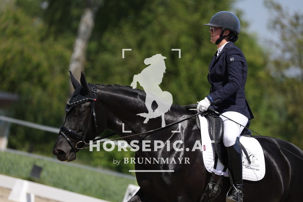 0P6A9319 | Willkommen bei Brunnmayr - Design & Fotografie – Ihrem Spezialisten für Reitturniere und Pferdeveranstaltungen in Oberösterreich, Salzburg und Bayern! Seit über 17 Jahren sind wir leidenschaftlich dabei.