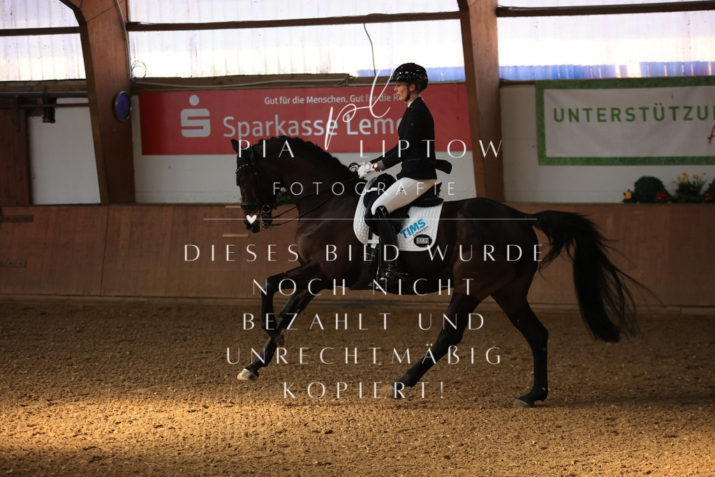 IMGT2443 | pl-fotografie