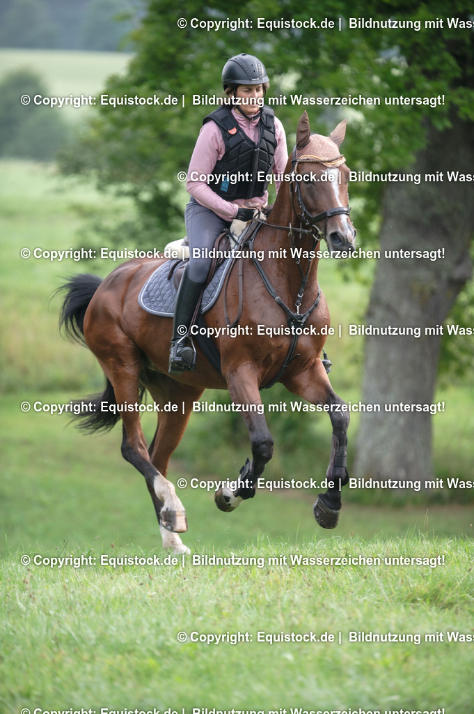 20250726_Vielseitigkeitslehrgang-Marbach_0090 | Foto: Thomas Hartig