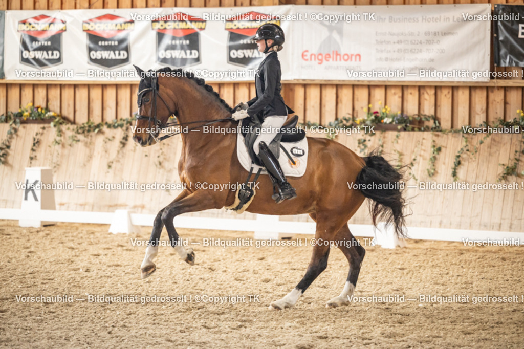 _D5A9018 | Emotionale Pferde- & People-Fotografie rund um Heidelberg, Leimen & Umgebung. Natürliche Fotos von Pferd, Mensch & Familie. Jetzt Termin sichern!