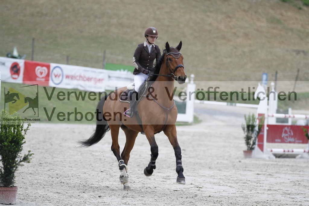 _MG_7033 | equestrian-live-com