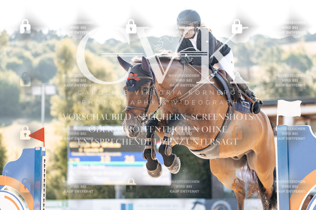CK901709 | Turnierfotografie Pferdefotografie Trier Rheinland-Pfalz Pferdesport Reitsport Tierfotografie Sportfotografie Pferdevideo Pferdevideografie Equestrianvideography equestrianphotography  - Realisiert mit Pictrs.com