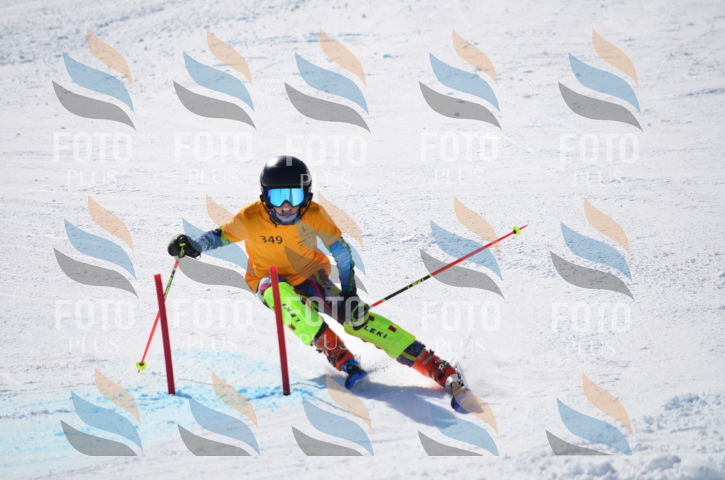 C9775 | holidayphoto