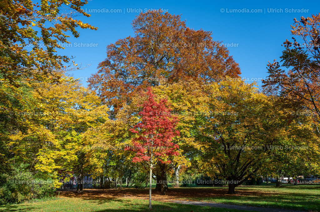 10049-13353 - Parkanlage in Halberstadt | Stockfoto und Bilderpool mit Bildmaterial aus Deutschland, dem Harz, Halberstadt, Quedlinburg, Wernigerode und weltweit. Qualitativ hochwertige und professionelle Fotos anschauen und kaufen. - Realisiert mit Pictrs.com