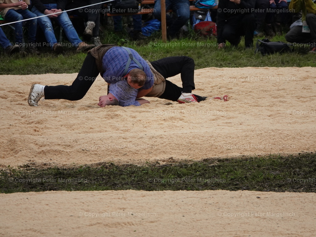 DSC07681 | Schwingen - Realisiert mit Pictrs.com