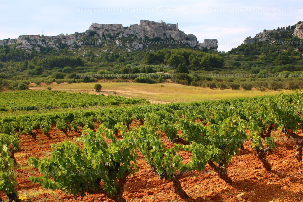 Frankreich - Weinfelder bei Les Baux-de-Provence in der Provence | Les Baux-de-Provence ist eines der schönsten Bergdörfer der Provence und beeindruckt mit seiner mittelalterlichen Festung, historischen Gassen und spektakulären Ausblicken über die umliegenden Weinberge und Olivenhaine. Die Region ist für ihre hervorragenden Weine und ihre mediterrane Kulturlandschaft bekannt und verbindet Geschichte, Genuss und die einzigartige Atmosphäre der Provence. - Realisiert mit Pictrs.com