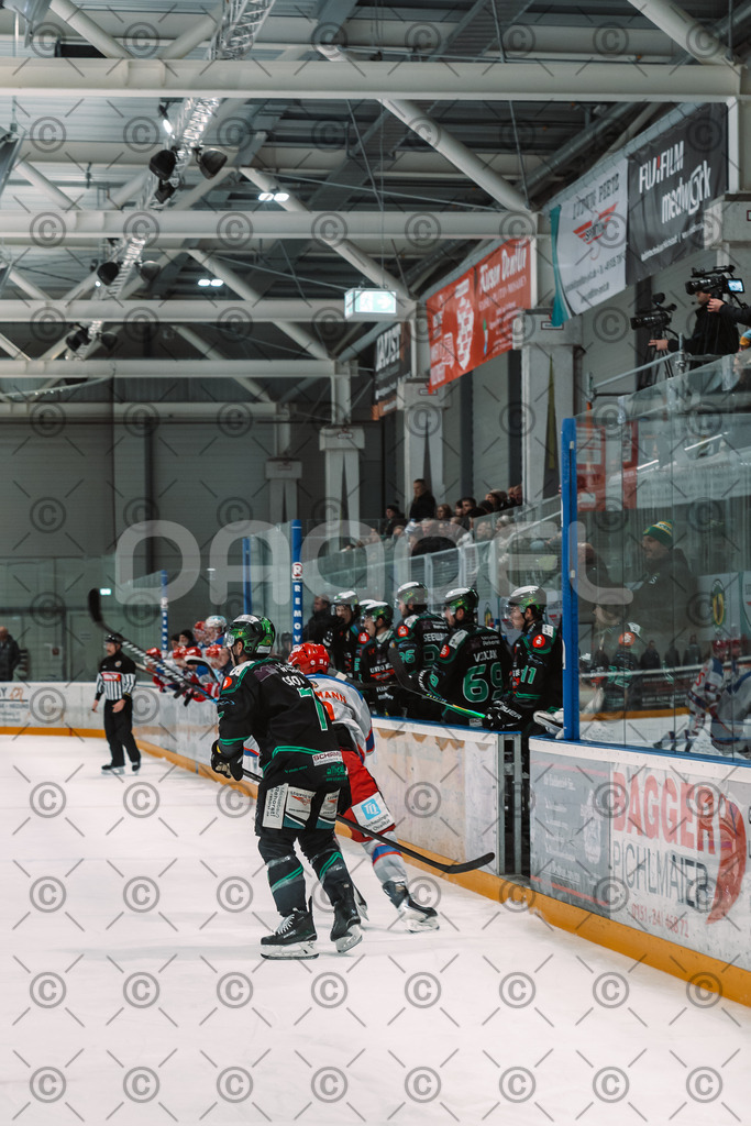 Alligators_vs_Peiting_25_11_2025-46 | Höchstadt Alligators Fotogalerie: Eishockey-Action aus Franken. Professionelle Spielfotos, Portraits & Stadionbilder zum Download. Jetzt entdecken! - Realisiert mit Pictrs.com