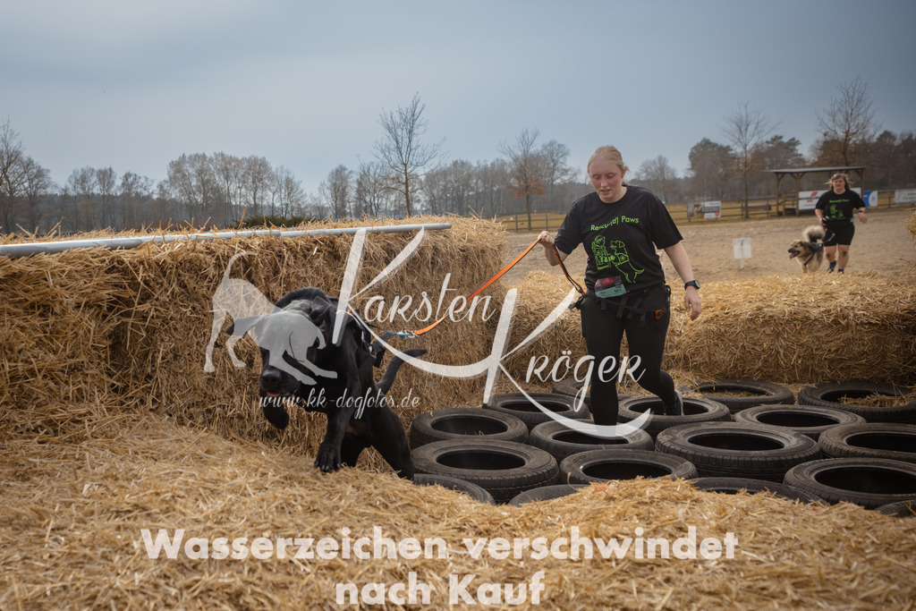 1225_ZZ95716 | kk-dogfotos