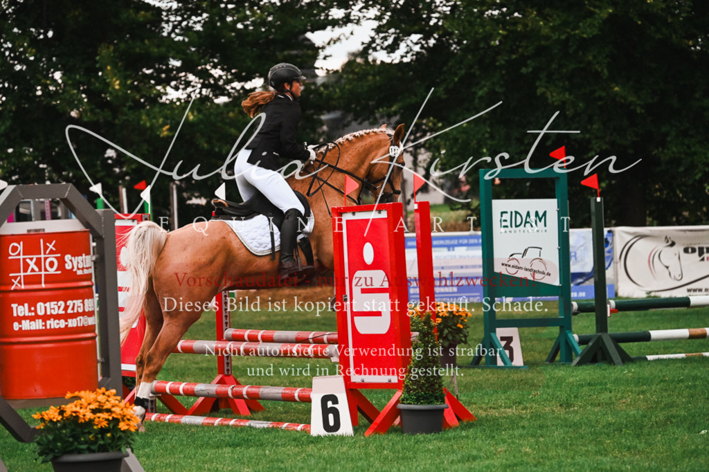 DSC_6130 | Pferde- und Turnierfotografie in Westsachsen. Pferdeportraits, Auftragszeichnungen und intuitive Kunst.