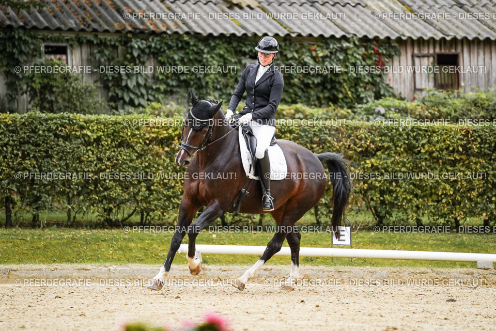 DSC06759 | Pferdegrafie