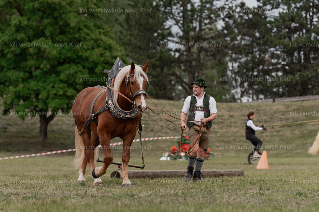 Showprogramm-361 | working equitationturnier fotograf videograf stoibphotography marixx film working equitation deutschland reitsport turnierfotografie eventfotografie equestrian events