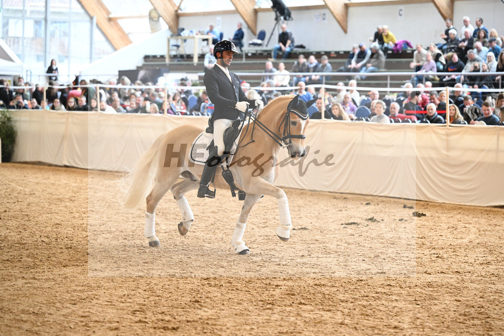 Schauprogramm Haflinger_DSP Amiro_2251584 | hf-fotografie - Realisiert mit Pictrs.com