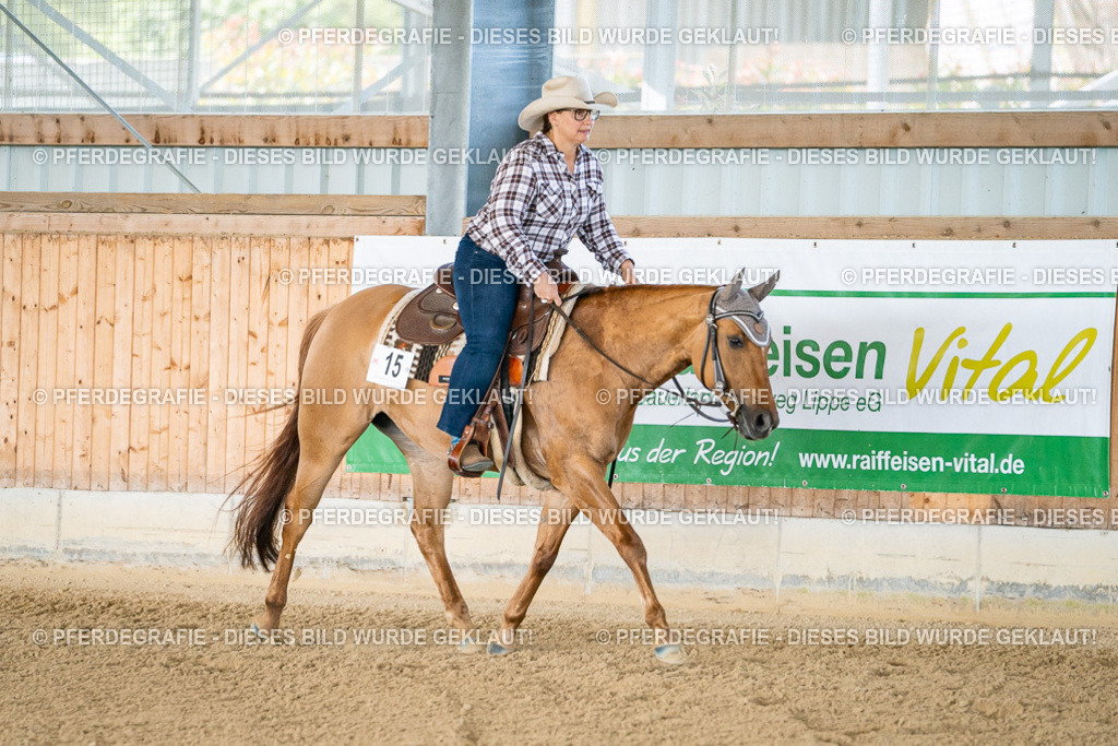 DSC01984 | Pferdegrafie