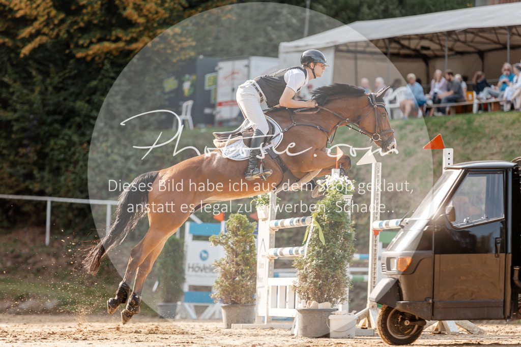 3I6A4898 | Stimmungsvolle Portraits und Reitsportfotografie im Ruhrgebiet und im Münsterland.

Pferdefotografie, Hundefotografie, Tierfotografie, Reportagen, Portraits von Tier und Mensch, Turnierfotografie in Bochum, Recklinghausen, Marl, Haltern am See, Dülmen.. - Realisiert mit Pictrs.com