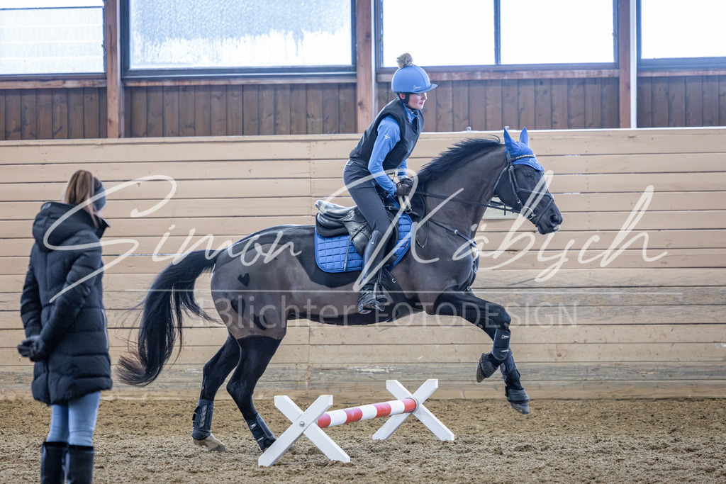 20260221-_3LI8950 | Tierfotografie Pferde, Hunde, Katzen, Haustiere.
Turnierfotografie Reitturniere, Reiten, Springreiten, Dressur in Hanau, dem Main-Kinzig-Kreis und dem Rhein-Main- Gebiet um Frankfurt
