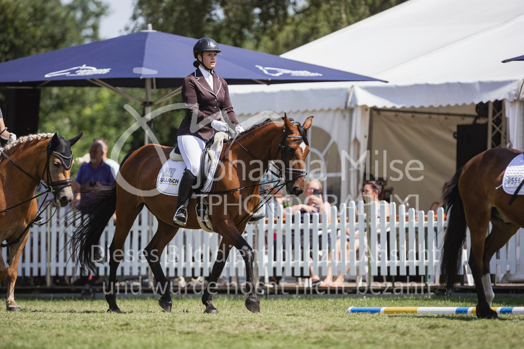 240720_LC_Reiter-WB-111 | Deine schönsten Turniermomente als professionelle Fotos! Entdecke hochwertige Pferdesport-Fotografie im Online-Shop. Jetzt Fotos finden & bestellen!