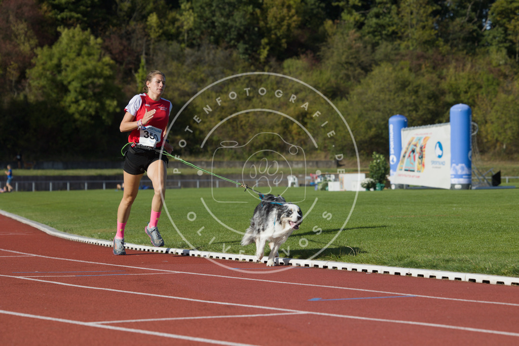 0L8A9686 | Hundefotografie, Tierfotograf, Pfotenfotografie, Fotoshooting Hund, Hunde Portrait, Hundesport, Hundeportraits, Heideshooting, Hunde, Sportfotograf, Hundefotograf, Turnierhundsport, THS,  - Realisiert mit Pictrs.com