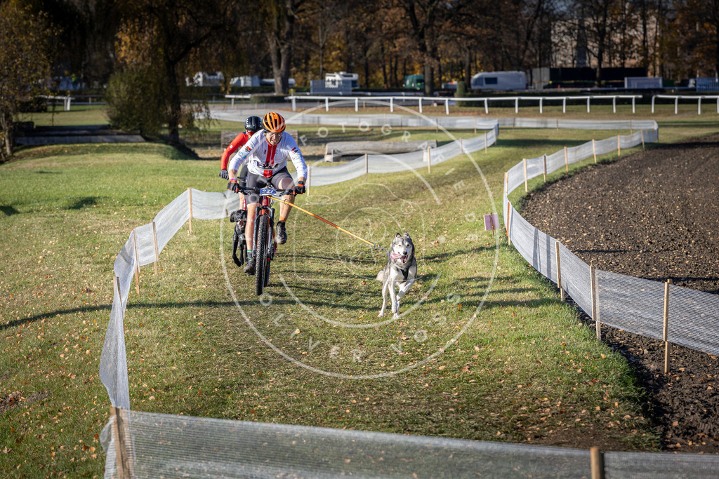 CaniXpix_DV3A3729 | Hundefotografie, Tierfotograf, Pfotenfotografie, Fotoshooting Hund, Hunde Portrait, Hundesport, Hundeportraits, Heideshooting, Hunde, Sportfotograf, Hundefotograf, Turnierhundsport, THS,  - Realisiert mit Pictrs.com