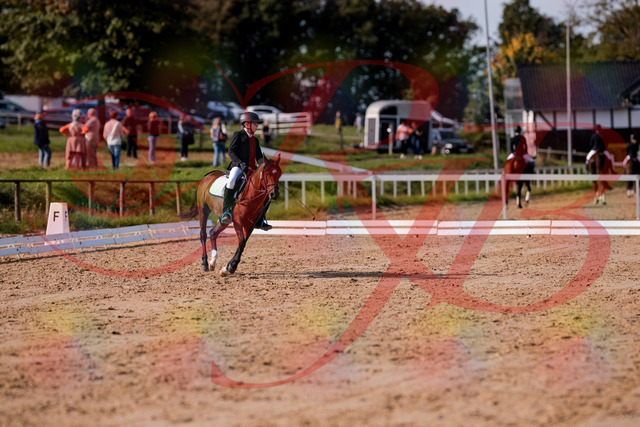 2026_10_03_Siefer-Hof_122250_Z81_22364377 | Professionelle Reitsport-, Turnier- und Eventfotografie von Robert Broda. Galerien mit ausgewählten und bearbeiteten Bildern direkt online ansehen und bestellen.