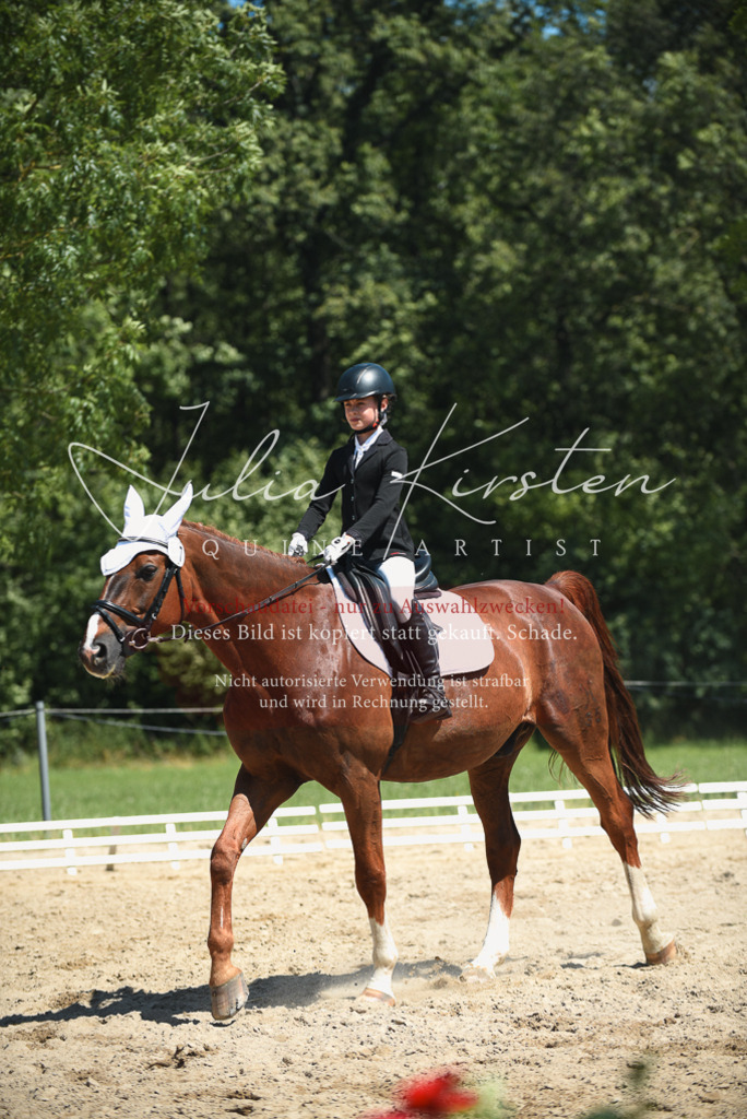 DSC_2204 | Pferde- und Turnierfotografie in Westsachsen. Pferdeportraits, Auftragszeichnungen und intuitive Kunst.