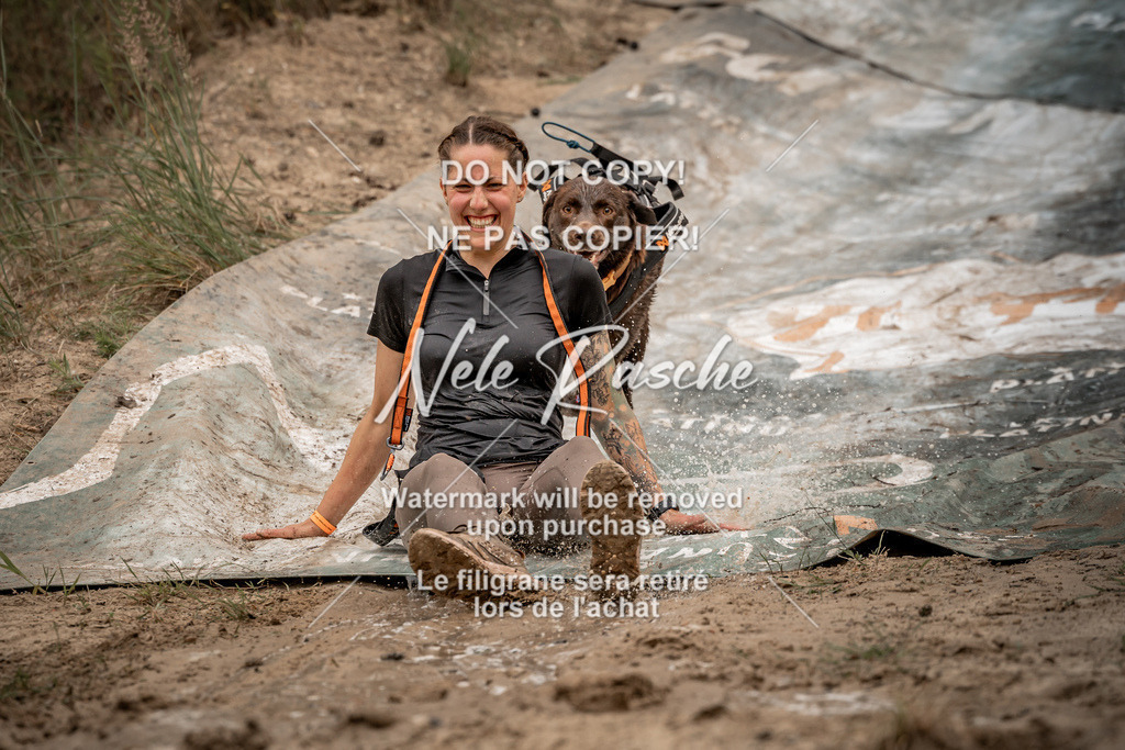 nelerasche_sa0800-1000_205 | nelerasche