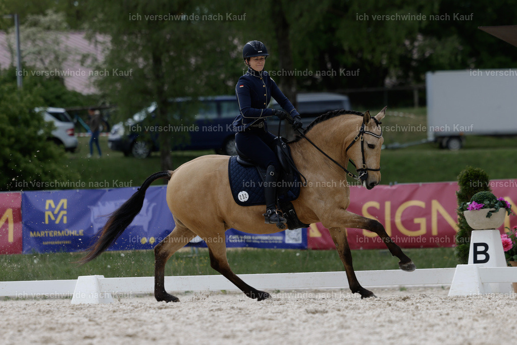 PI26_DR_252_Stoibphotography_AM10320.jpg | working equitationturnier fotograf videograf stoibphotography marixx film working equitation deutschland reitsport turnierfotografie eventfotografie equestrian events