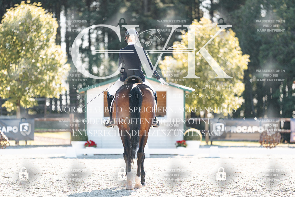 CK906412 | Turnierfotografie Pferdefotografie Trier Rheinland-Pfalz Pferdesport Reitsport Tierfotografie Sportfotografie Pferdevideo Pferdevideografie Equestrianvideography equestrianphotography  - Realisiert mit Pictrs.com