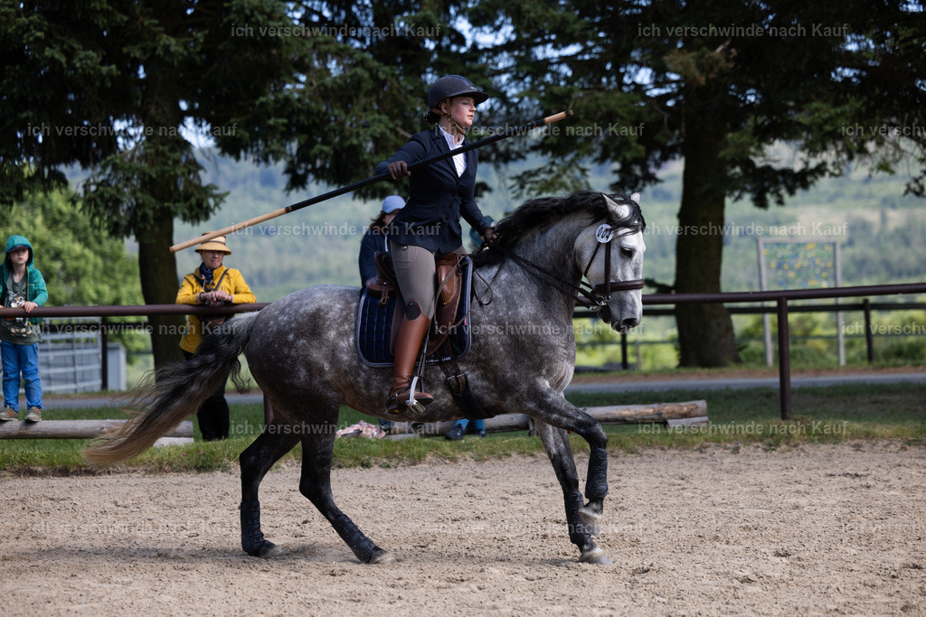 KlasseM_stoibphotography_C2_C9603.CR3 | working equitationturnier fotograf videograf stoibphotography marixx film working equitation deutschland reitsport turnierfotografie eventfotografie equestrian events