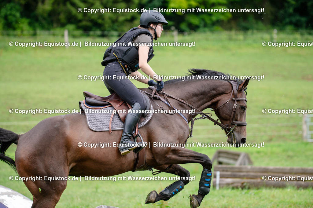 20250725_Vielseitigkeitslehrgang-Marbach_0600 | Foto: Thomas Hartig