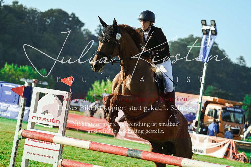DSC_3952 | Pferde- und Turnierfotografie in Westsachsen. Pferdeportraits, Auftragszeichnungen und intuitive Kunst.