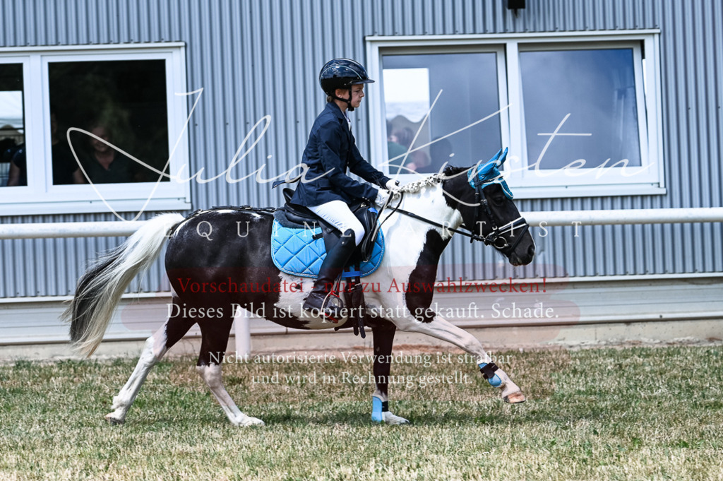 DSC_9742 | Pferde- und Turnierfotografie in Westsachsen. Pferdeportraits, Auftragszeichnungen und intuitive Kunst.