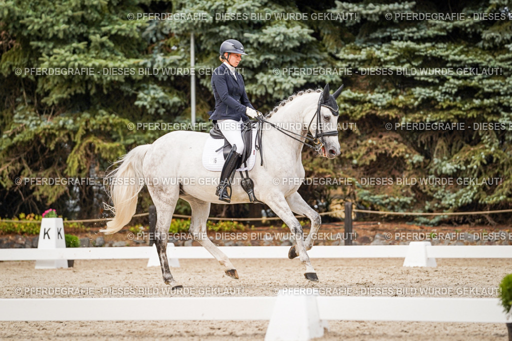 DSC07712 | Pferdegrafie