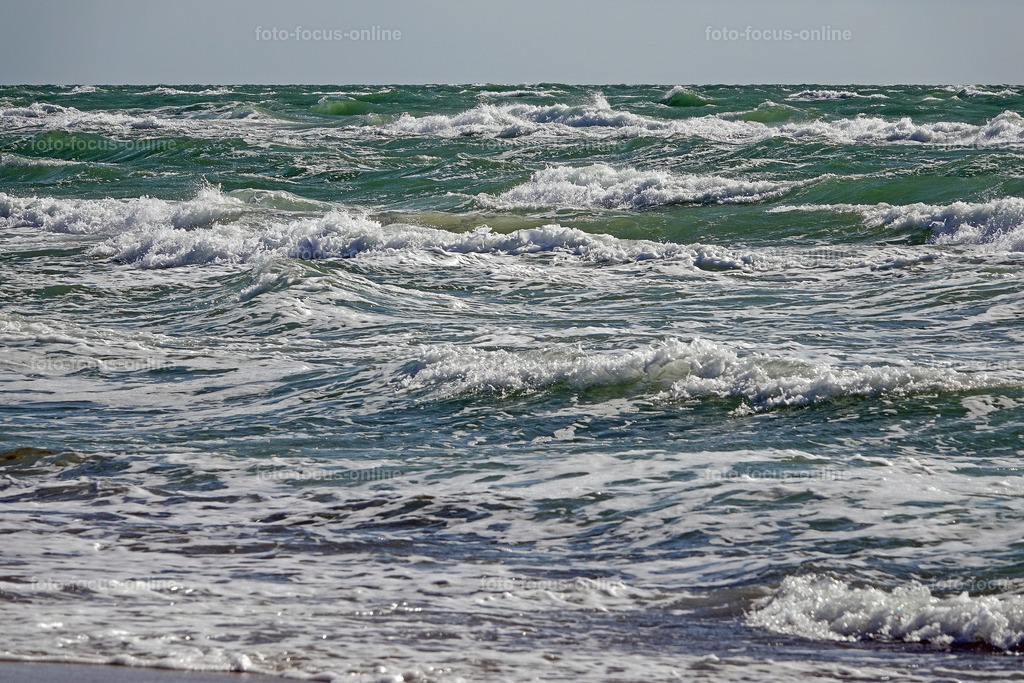 West Beach, Darß | foto-focus-online