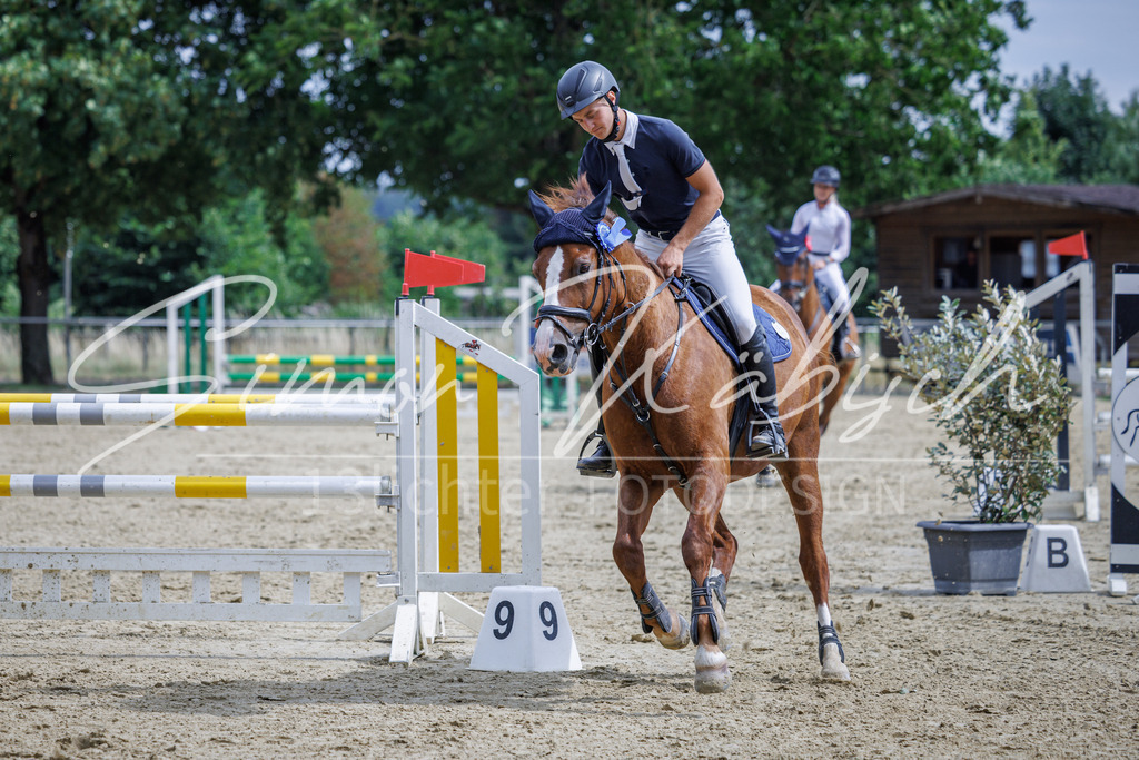20260705-_3LI6802 | Tierfotografie Pferde, Hunde, Katzen, Haustiere.
Turnierfotografie Reitturniere, Reiten, Springreiten, Dressur in Hanau, dem Main-Kinzig-Kreis und dem Rhein-Main- Gebiet um Frankfurt