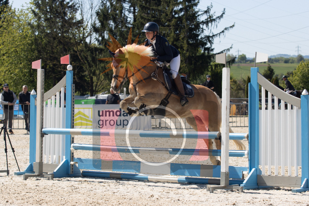 IMG_4975 | kraqueboom - Realisiert mit Pictrs.com