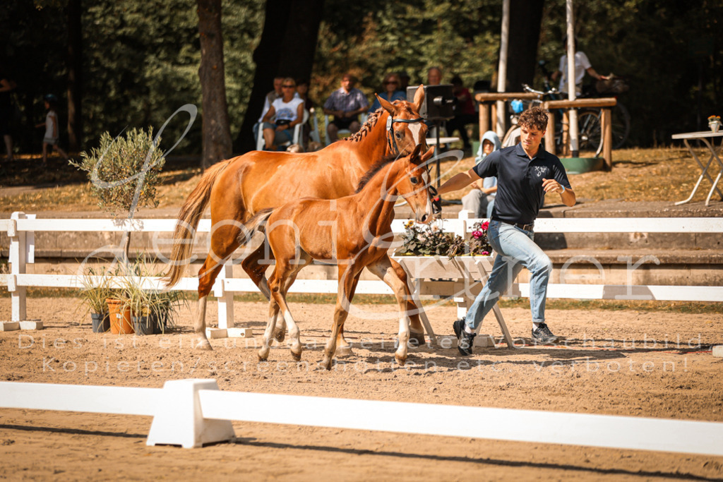 07.DoWBS00126 | Leoni Ertmer Photography - Realisiert mit Pictrs.com