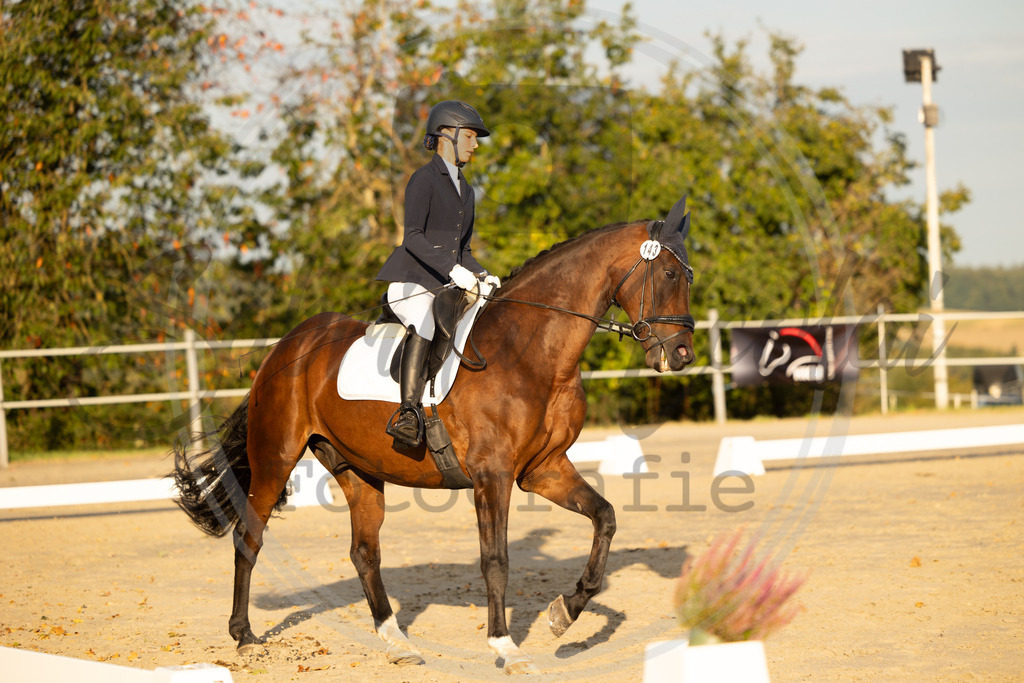 994A0202 | sabrinanicolaifotografie - Realisiert mit Pictrs.com