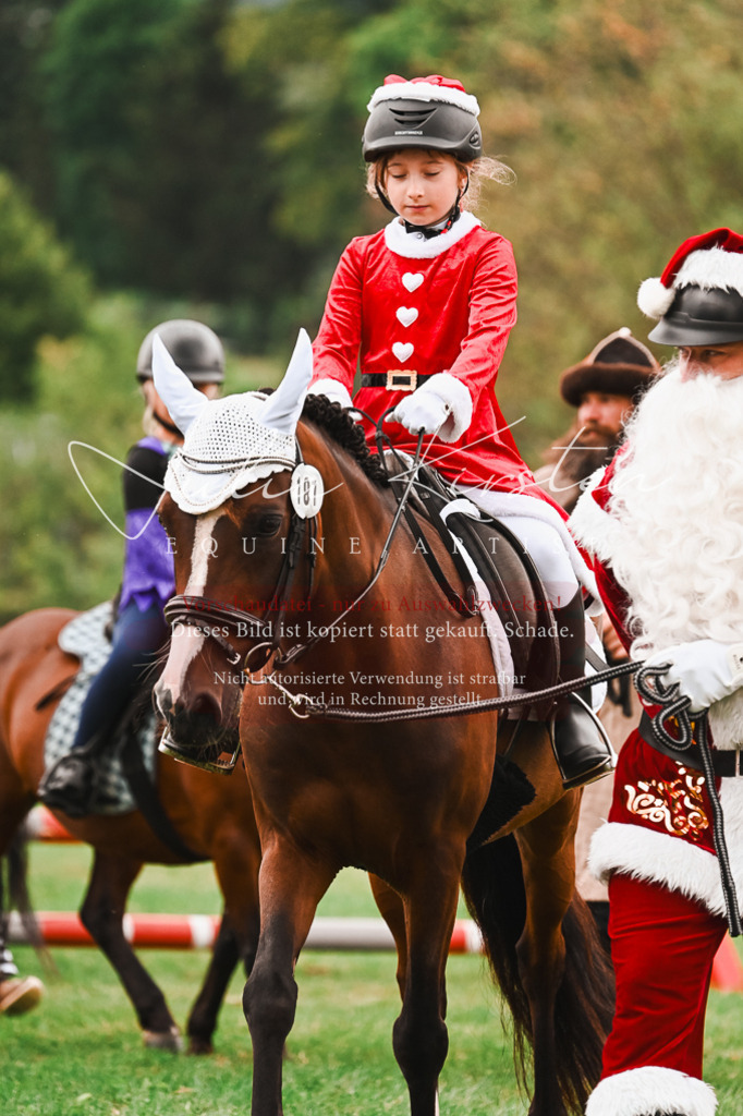 DSC_7529 | Pferde- und Turnierfotografie in Westsachsen. Pferdeportraits, Auftragszeichnungen und intuitive Kunst.