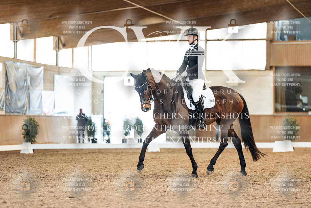 CK908854 | Turnierfotografie Pferdefotografie Trier Rheinland-Pfalz Pferdesport Reitsport Tierfotografie Sportfotografie Pferdevideo Pferdevideografie Equestrianvideography equestrianphotography  - Realisiert mit Pictrs.com