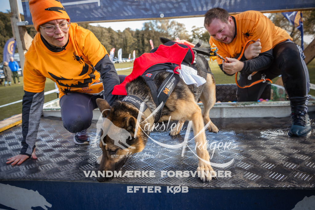 1323_ZZ90470-2 | kk-dogfotos