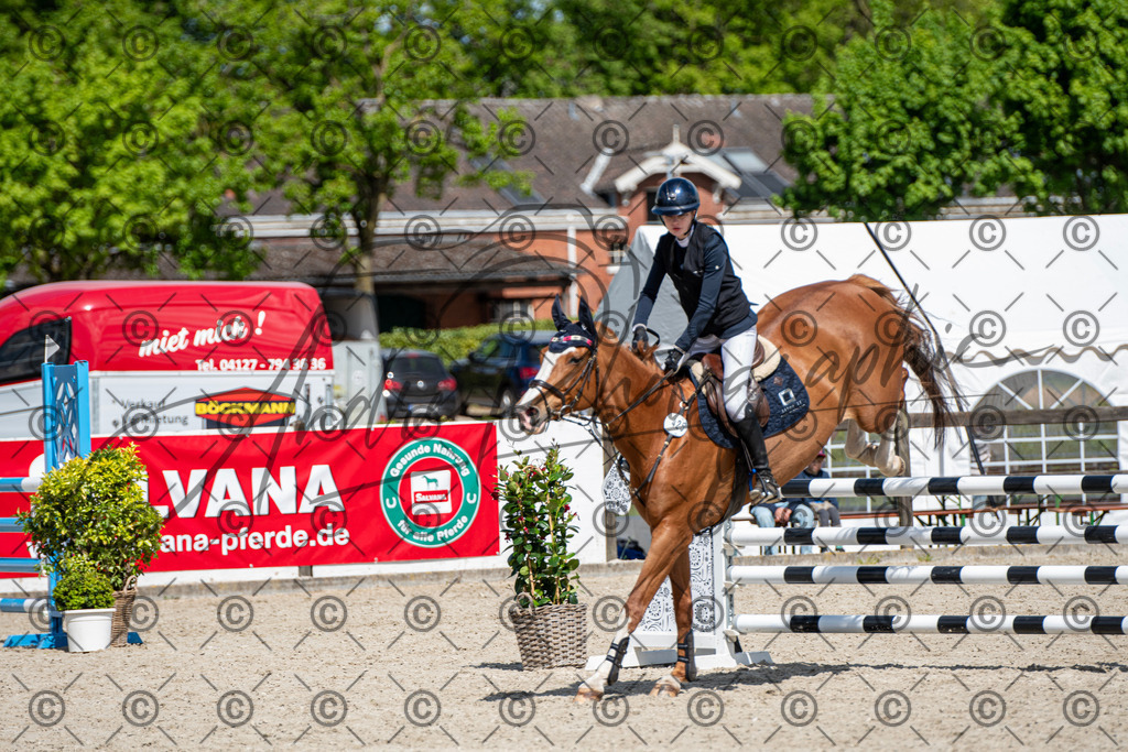 KPT_5157 | andre_photographic